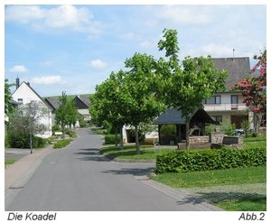 koadel8